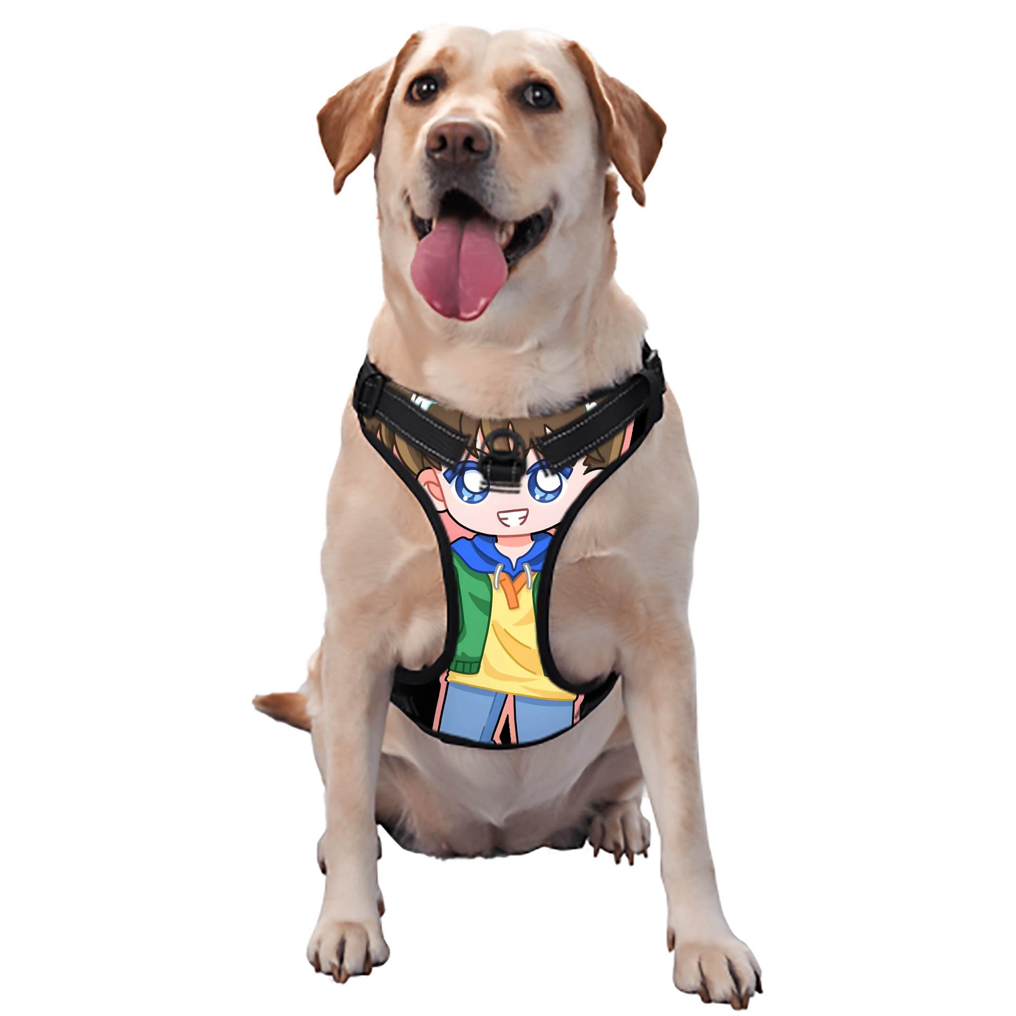 （画像用） 名探偵コナン 江戸川 コナン Detective Conan Conan Edogawa ペット用ハーネス